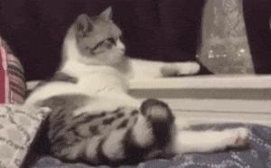 2分钟快速燃脂大法,生酮快速燃脂