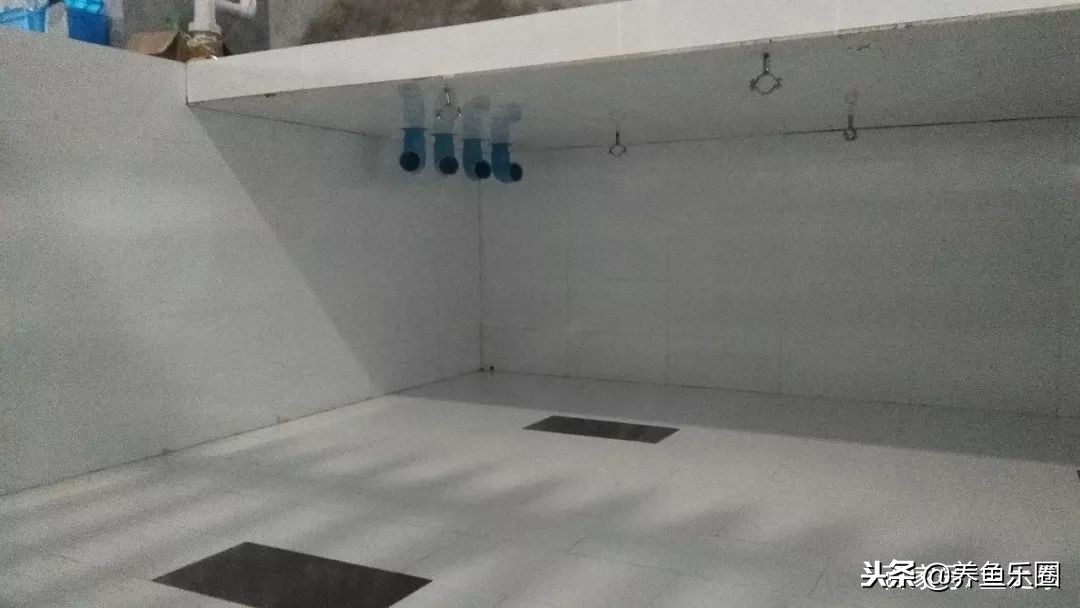 这位土豪家的渔场,光滤材就花了500多万,你确定不要见识一下?