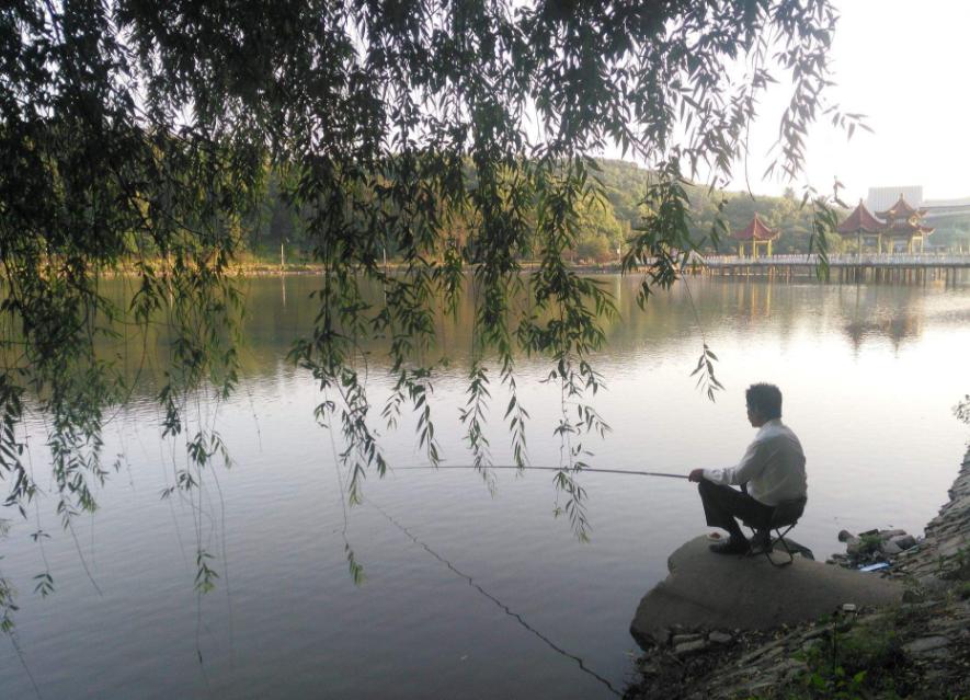 钓鱼学问真多,钓鱼过程中应注意的一些小常识
