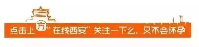 北京市校园足球精英赛西城,南京市贺岁杯校园足球