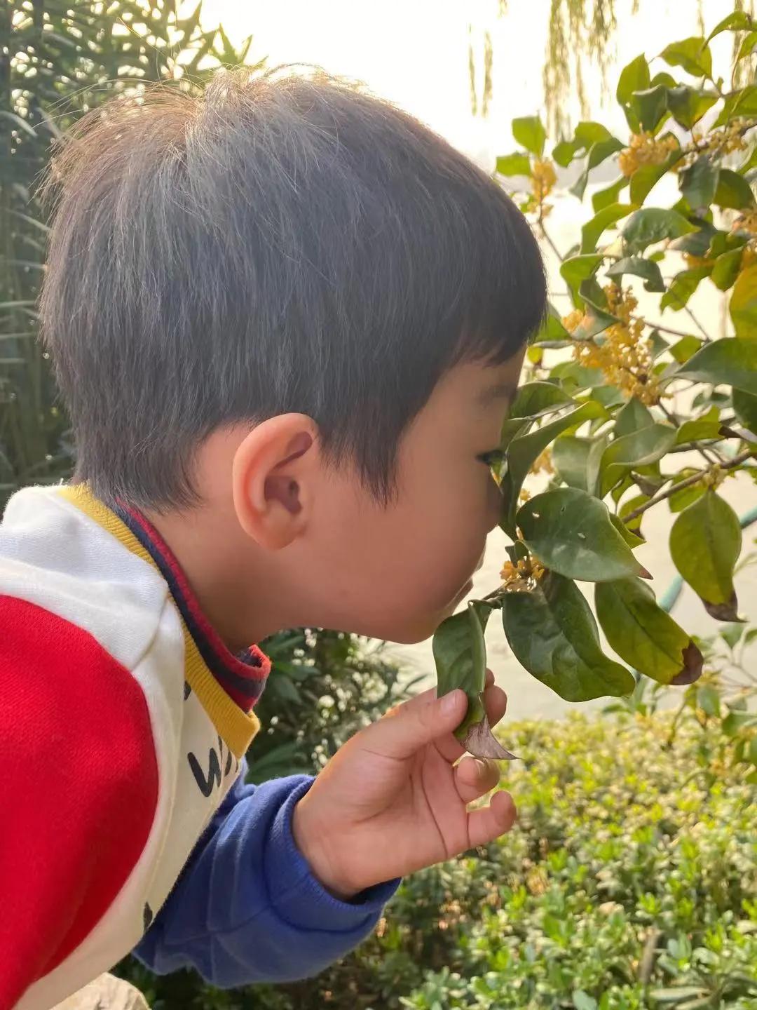 最美的风景美丽的校园,最美的风景就是校园