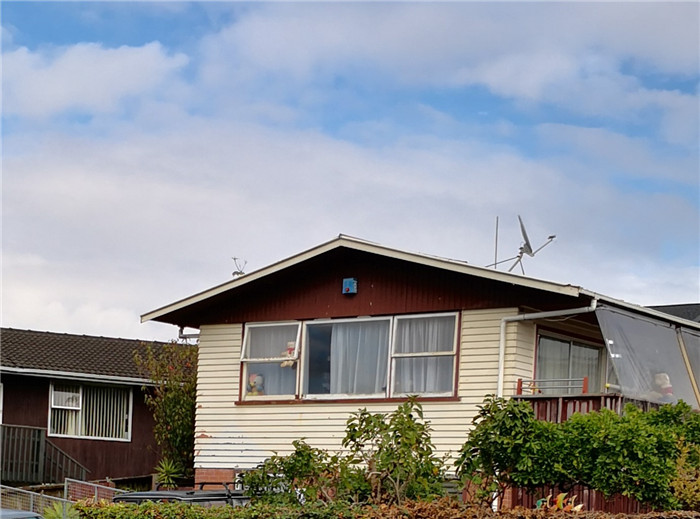 新西兰宅居第五天