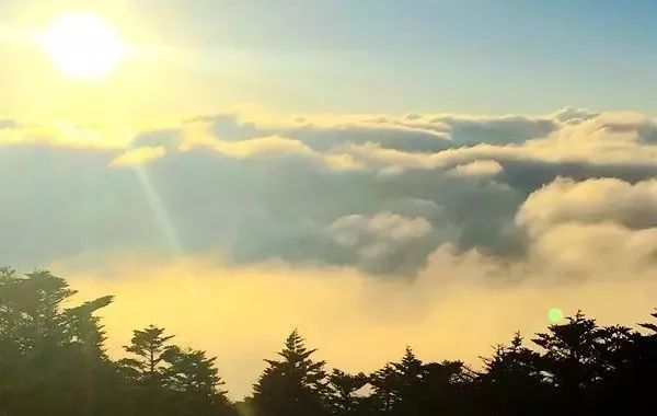 峨眉山降价最新消息,峨眉山的门票打折什么时候结束