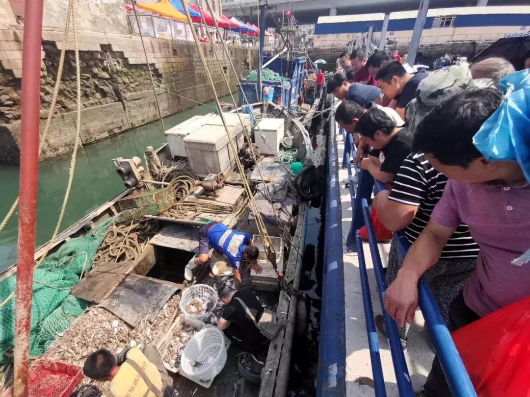 有一种炫富叫青岛开海啦,青岛炫富最新方式