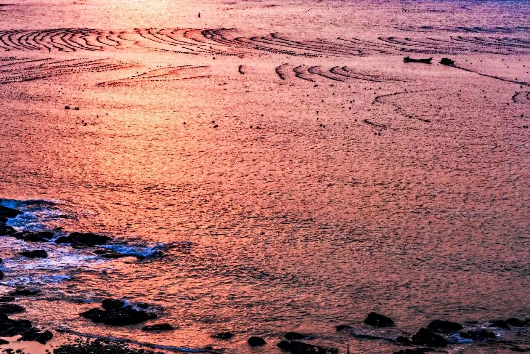 忽然想去旅游了,忽然想去宁波了