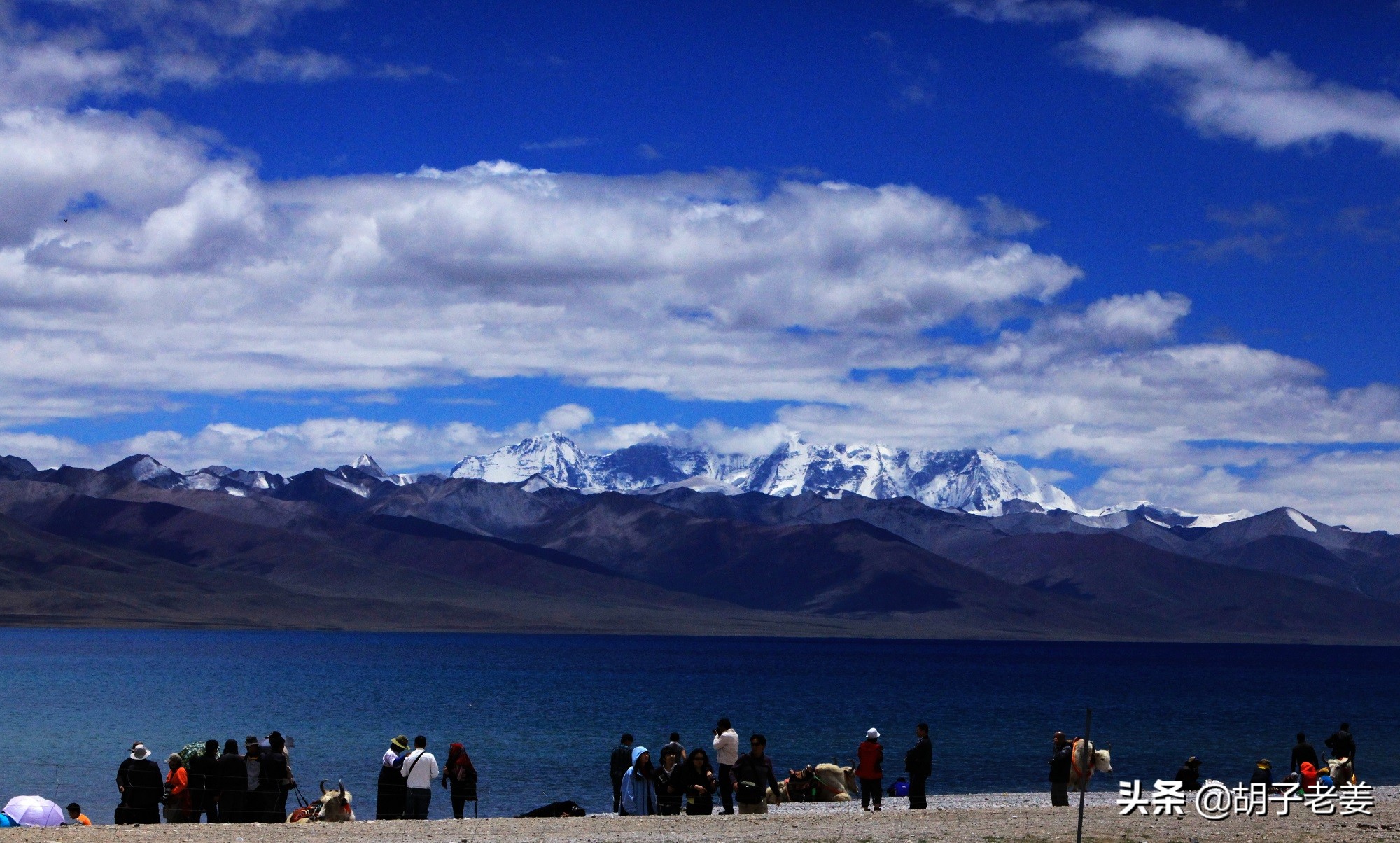 西藏三大圣湖哪个湖最美,纳木错三大圣湖之首