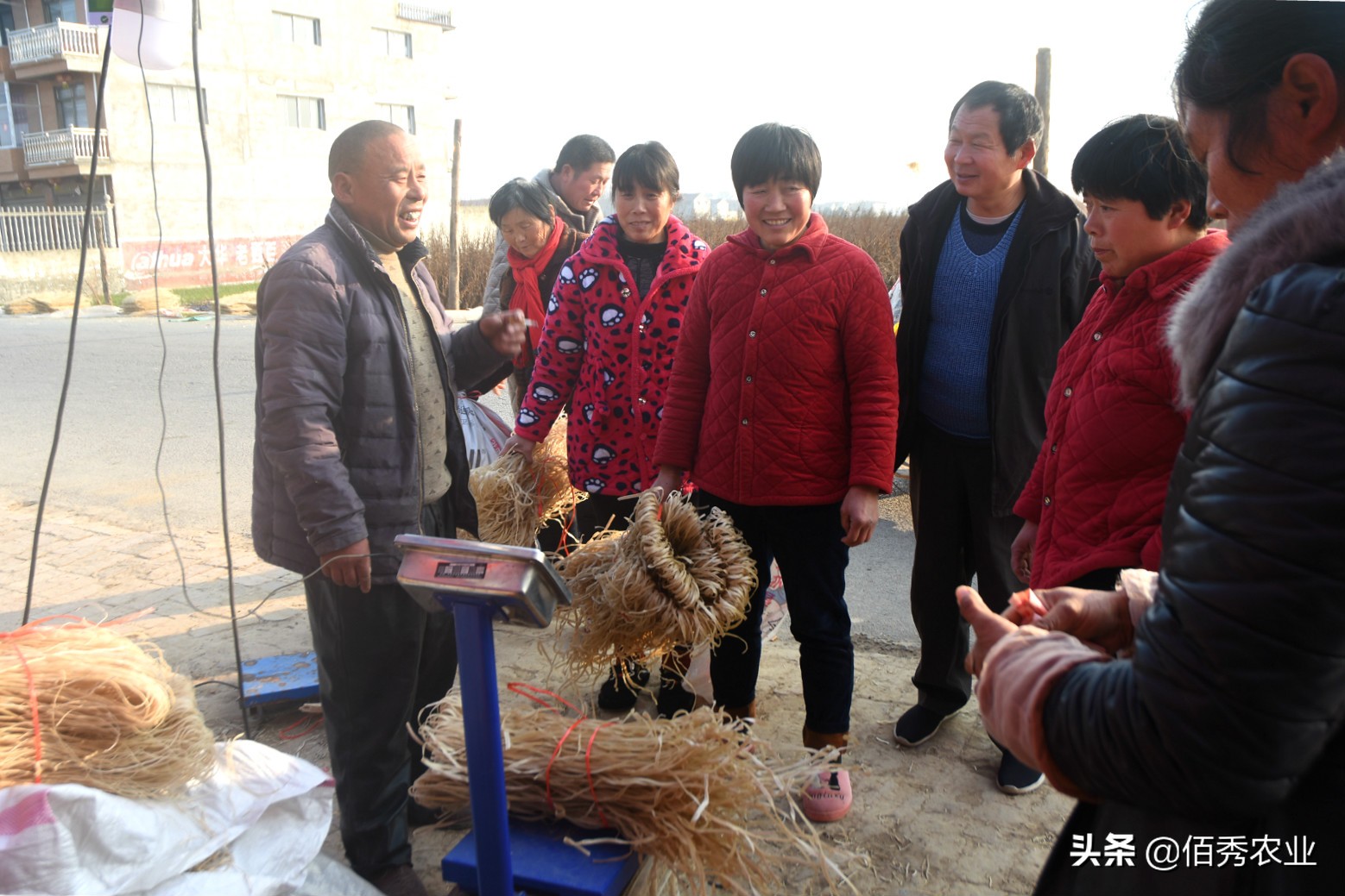 村民用红薯做万斤粉条寻销路,纯手工红薯粉条铺就乡村致富路