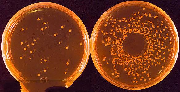 如果小孩有一次腹泻需要看医生吗,假如你家孩子有以下表现