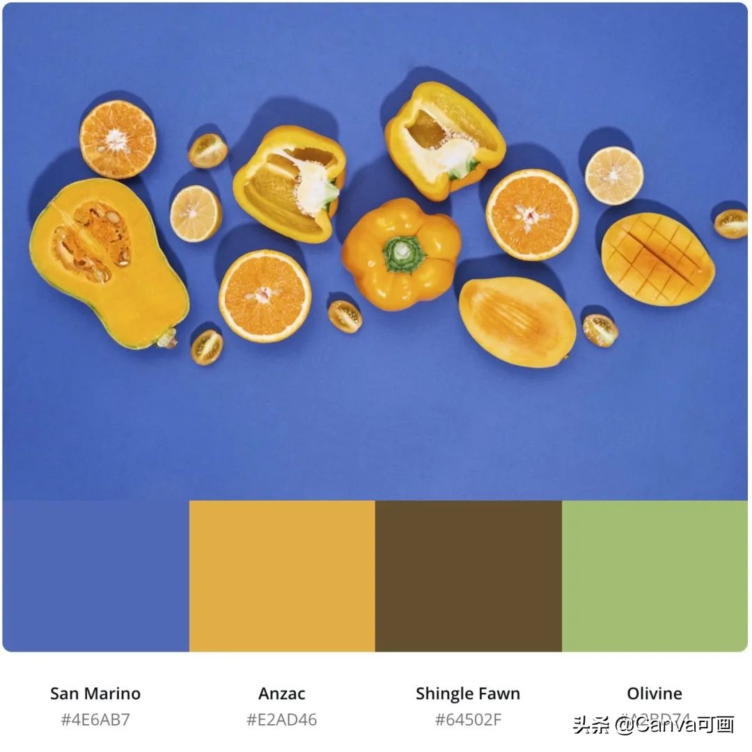 秋天配色插画秋高气爽,秋季高清插画