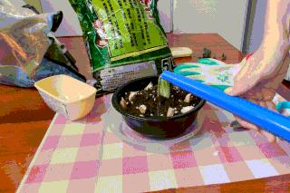 手把手教你阳台种菜,阳台种菜究竟是省钱还是费钱