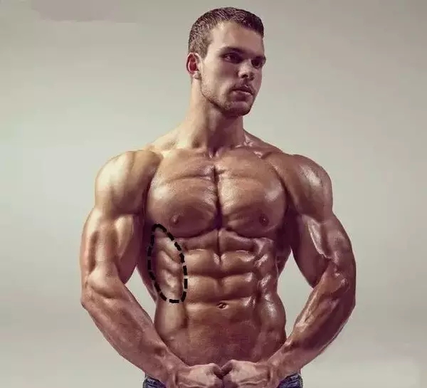 健身爱好者口中的鲨鱼线,鲨鱼线的正确锻炼方法