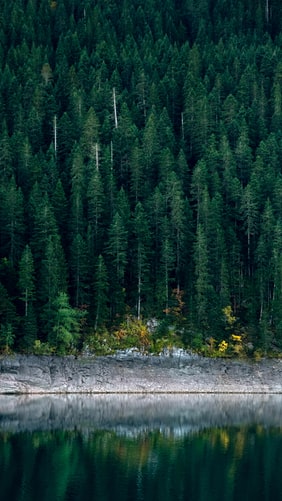 德国汉莎露西娜高端定制,德国汉莎露西娜定制属于什么档次