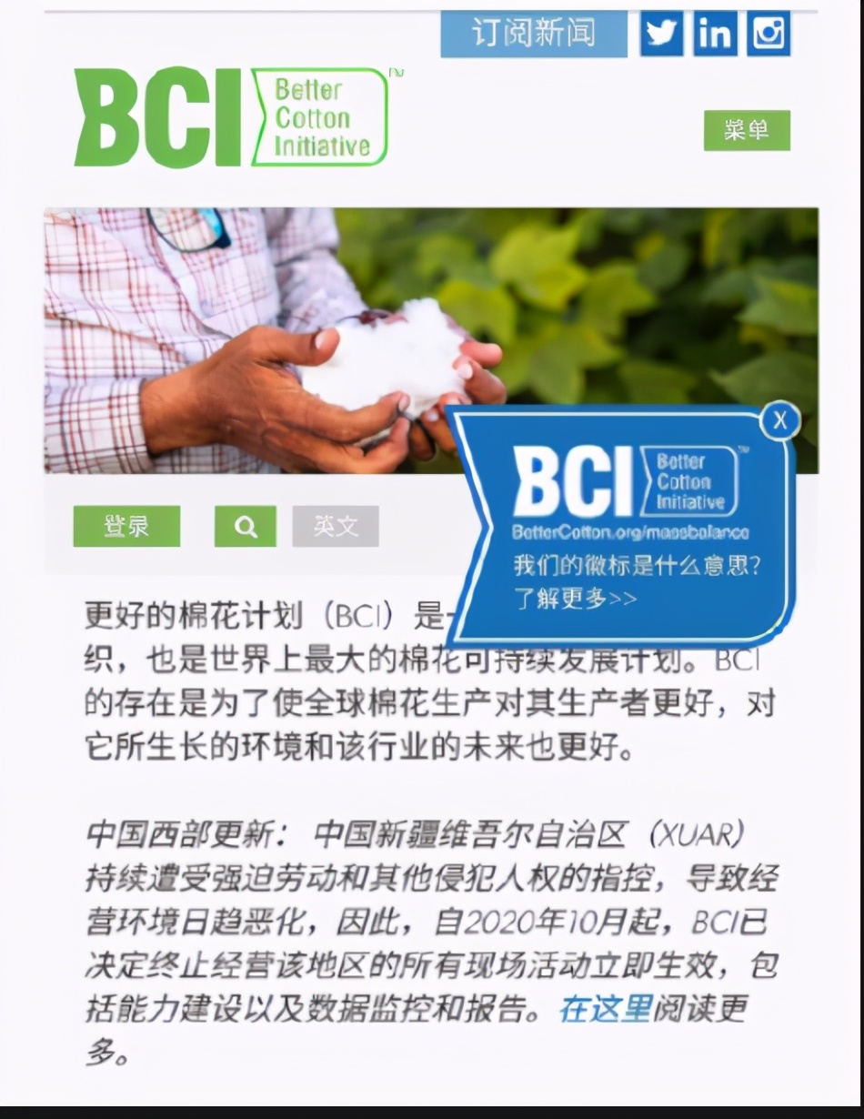 盛文兵：简单说说棉花