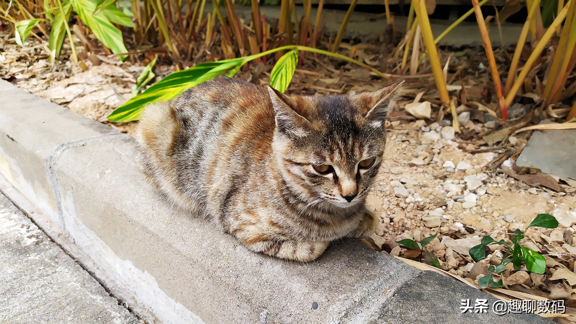 红米note7详细测评,红米Note7图文评测