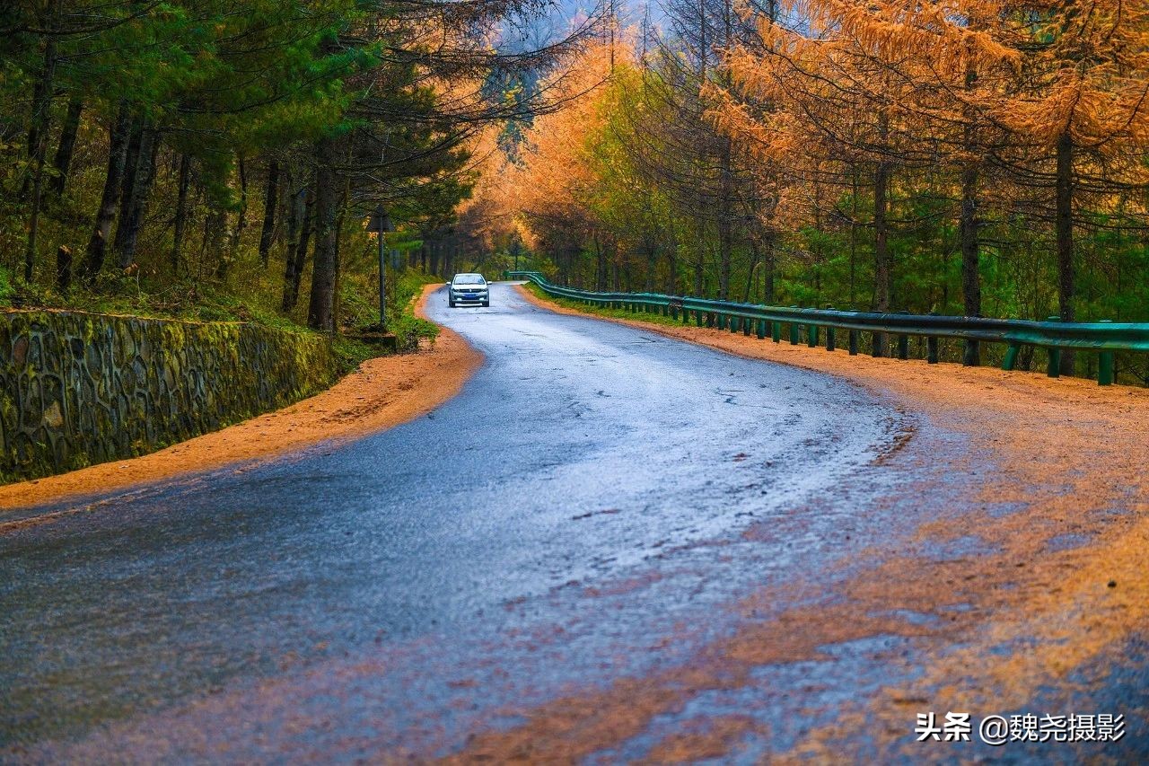 留坝秦岭之夜,留坝秦岭森林公园