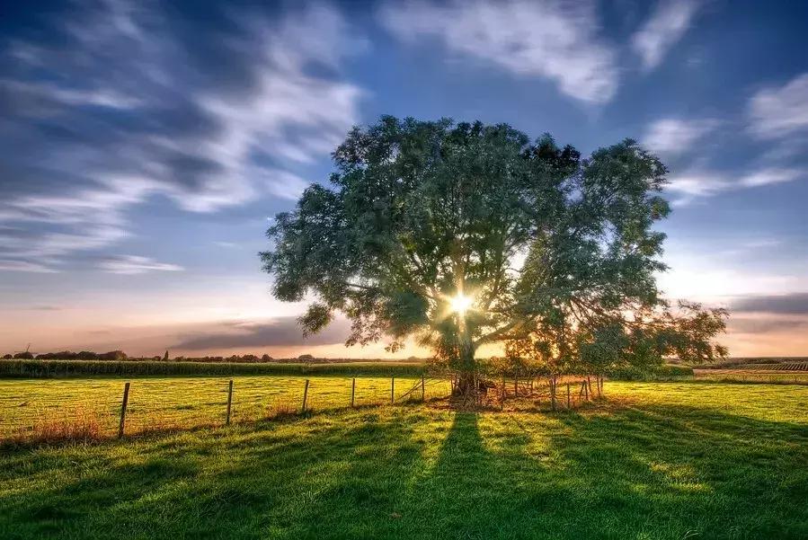 夜读《坛经》不知晓——《禅是纯生命》第二篇之十四