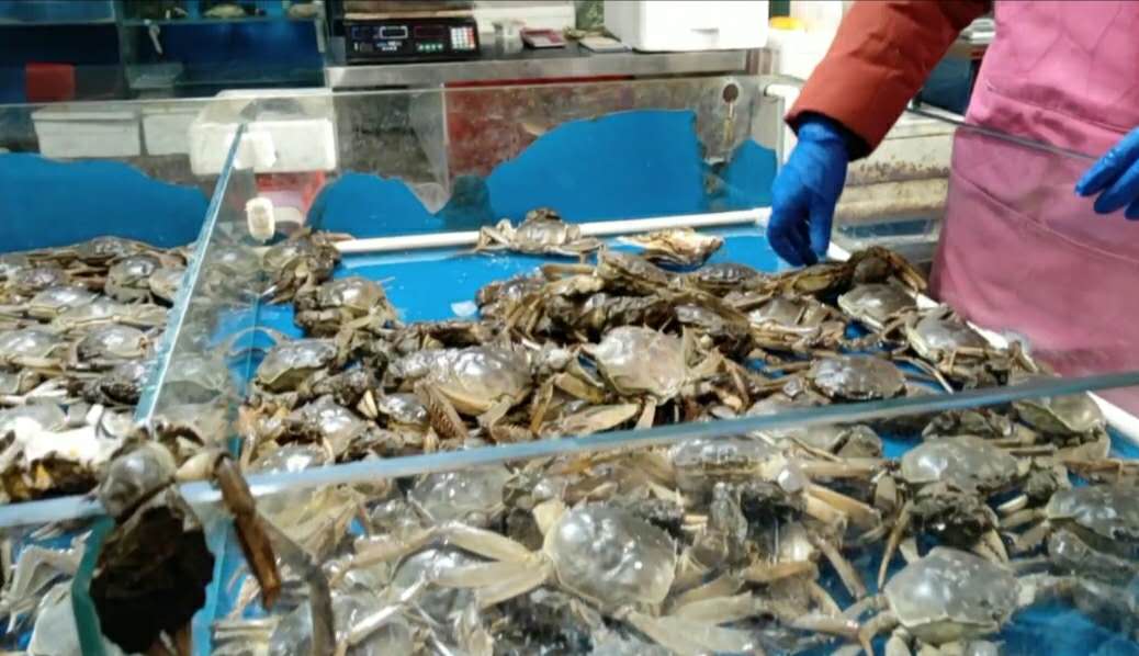 北京海鲜市场现状,海鲜市场冷清