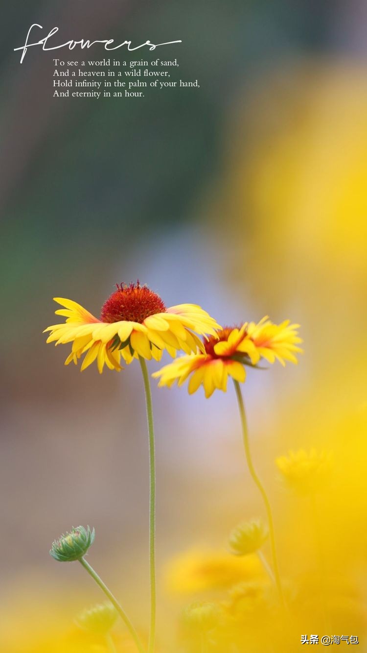 秋分一半热烈一半安详,秋分秋天分两半