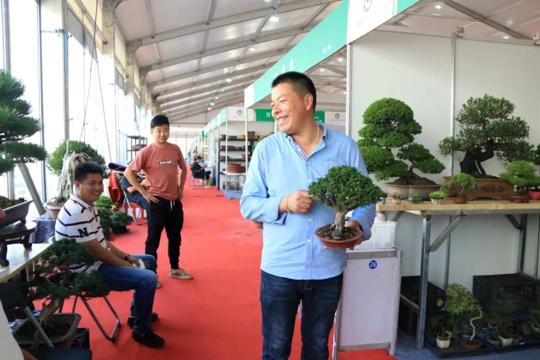 花木盆景活动,秋冬季花木节盆景展