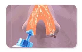 鼻子居然比菊花还脏？难怪春天一到，鼻炎又犯了丨春季专题