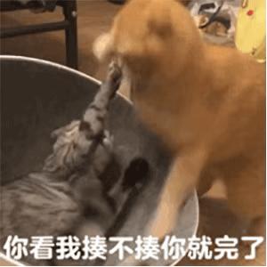 微信聊天表情包,微信聊天表情包怎么删掉