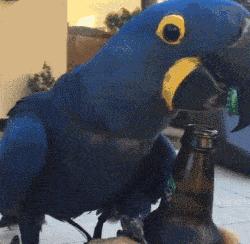 教你如何开通抖音店铺,教你如何开一家花店