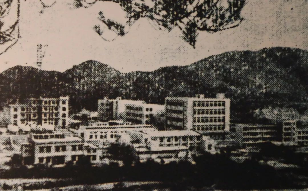 厦门湖里2020旧村改造,厦门湖里拆迁改造