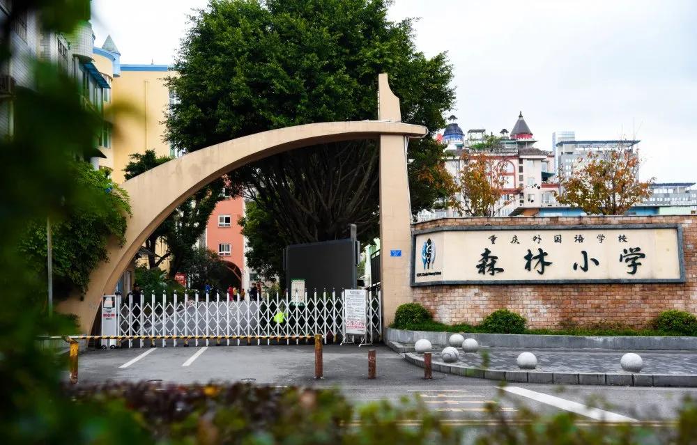 九龙坡重点小学和中学对应的片区,九龙坡区森林小学对口中学