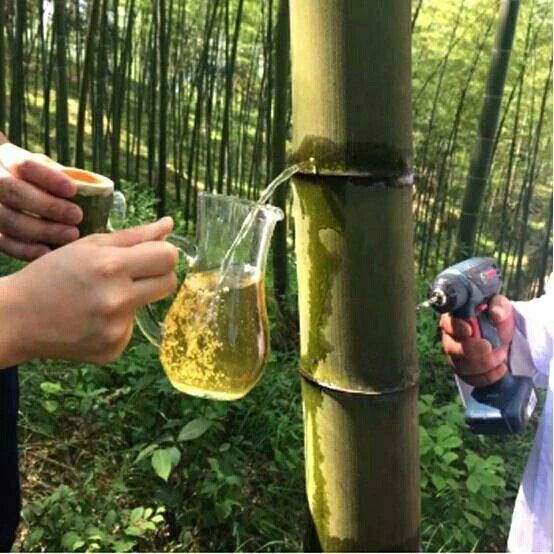 婀栧崡鑻椾埂鍩庢瑙嗛,婀栧崡鍩庢鑻楁棌鏁厭姝岃瘝