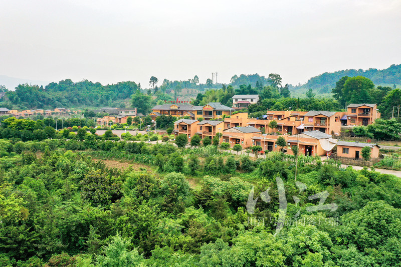 一线看发展,合江乡村振兴规划