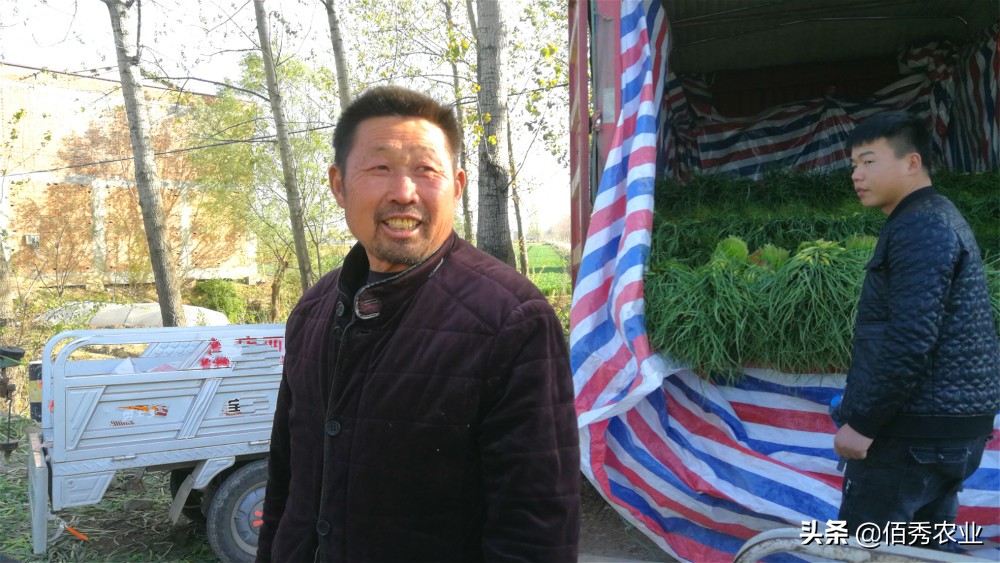 4个项目适合农村致富,农村冷门又赚钱的行业