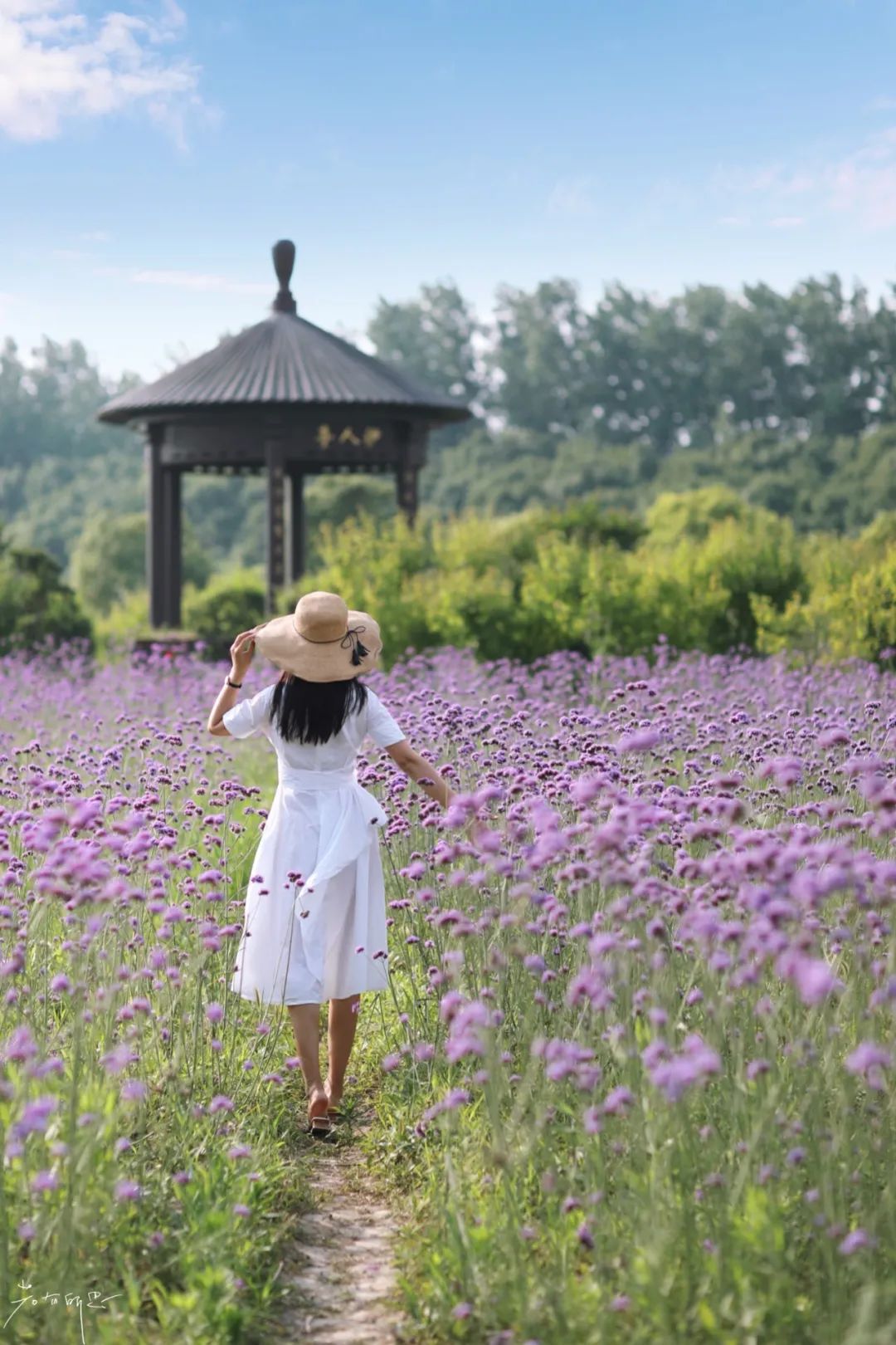 娌欏娴滅殑绱壊鑺辨捣,娌欏娴滈鏅尯鑺辨捣