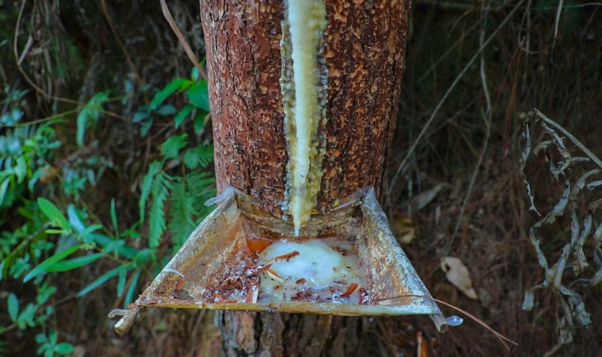 环广西8天游攻略,环广西7天自驾游