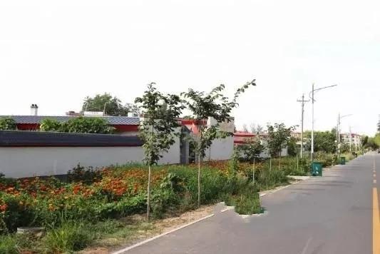 新疆昌吉州奇台县碧流河腰站子村,奇台县腰站子村概况