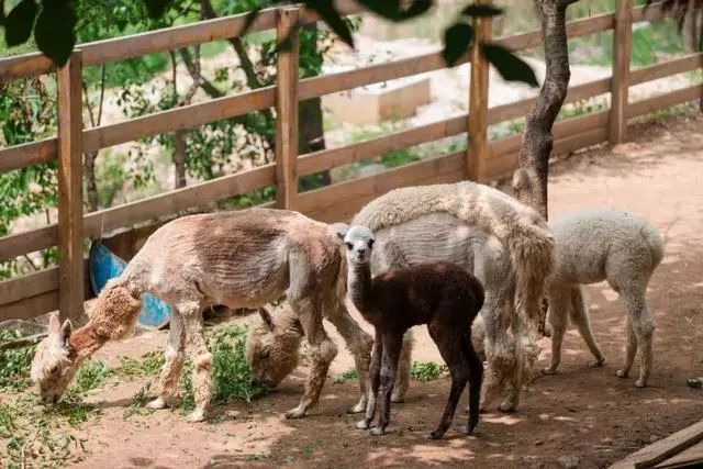 鍖椾含閲戞捣婀栧厤璐归湶钀ョ殑鍦版柟,閲戞捣婀朼kid姘翠笂杩愬姩