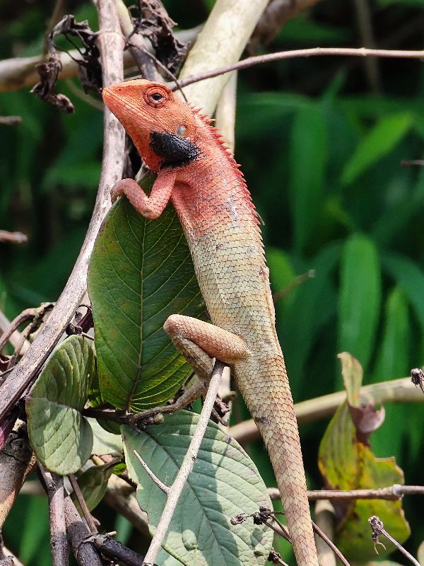 一个摄影爱好者的所有器材,摄影器材的终极之路