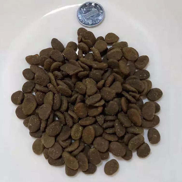 家有狗子,家有狗子视频完整版