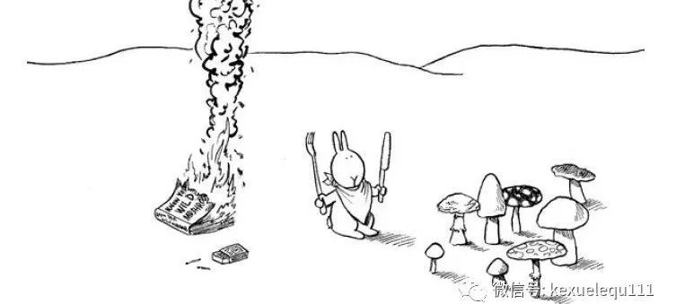 杀死一只兔子的预兆,杀死兔子的方法