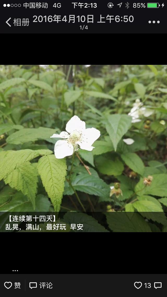 养成好习惯祛痘变简单,养成什么习惯能让痘痘变少