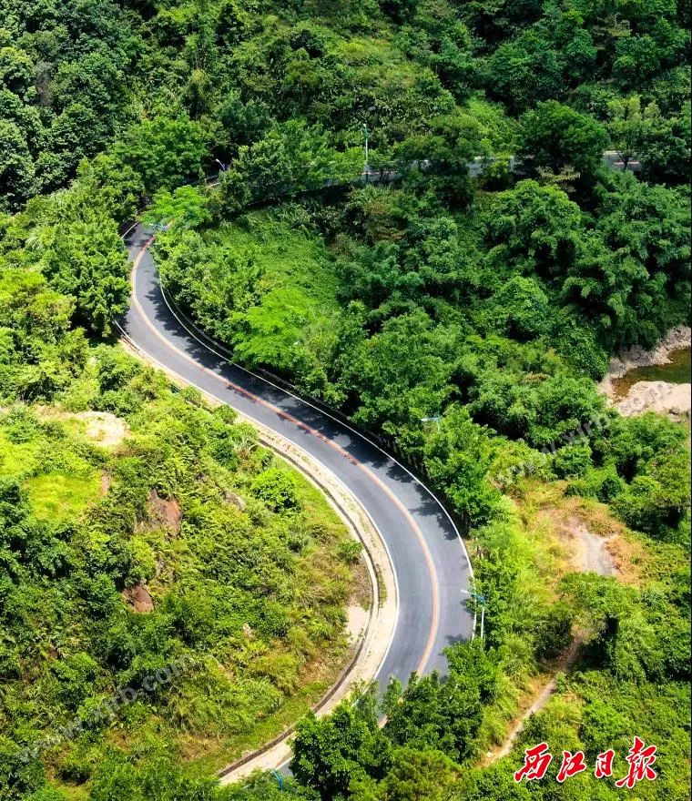 鼎湖徒步之旅,鼎湖山徒步路线推荐