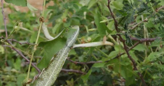 年度最佳女主角范冰冰,颜值与演技力压范冰冰