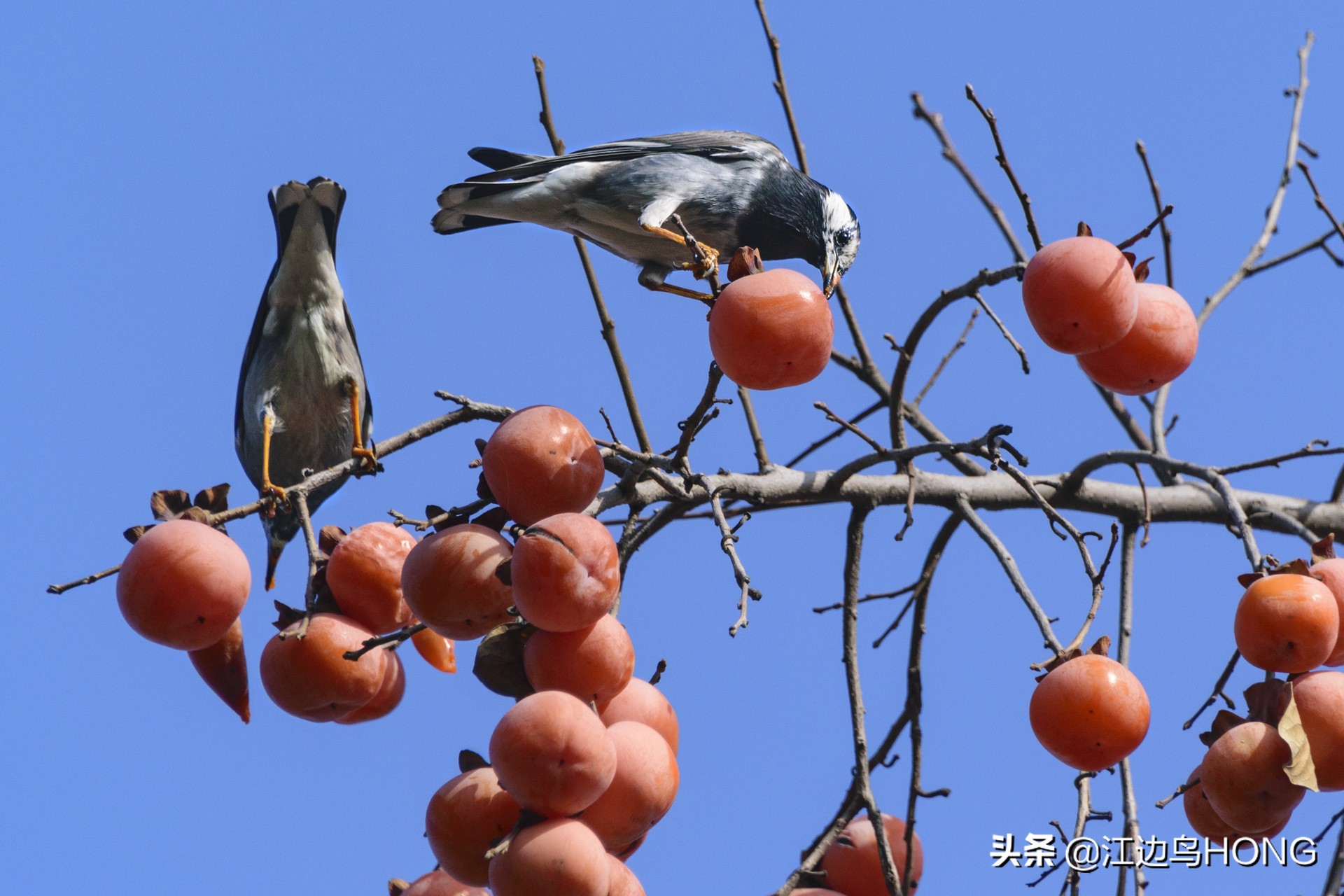 最好的aps-c画幅相机,不换镜头的aps-c相机推荐