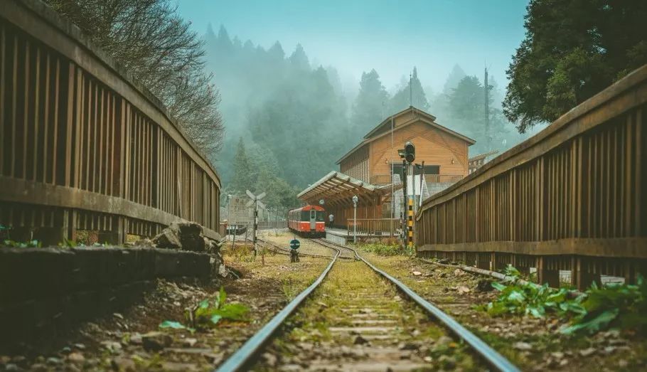 太美了开往春天的列车,这些开往春天的列车简直美呆了