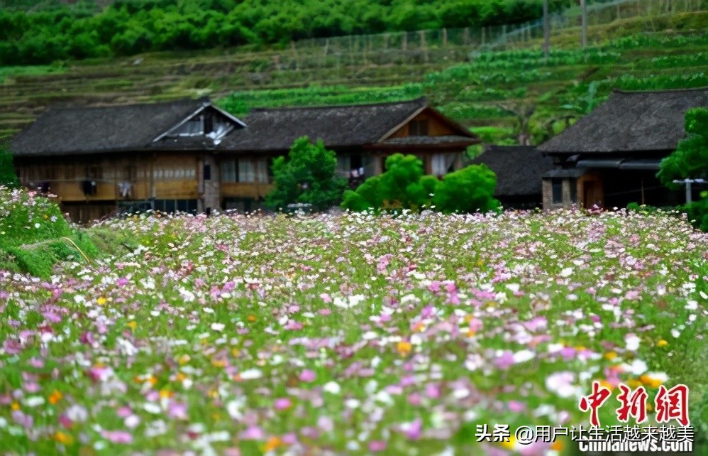 龙胜哪儿有好看的景区,广西的龙胜有什么好玩的