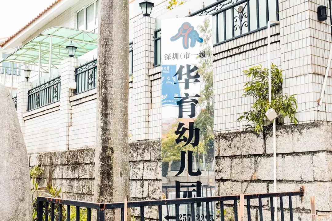 附近莲塘,附近的莲塘