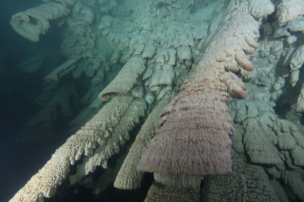 不断生长的钟乳石是什么,钟乳石演化