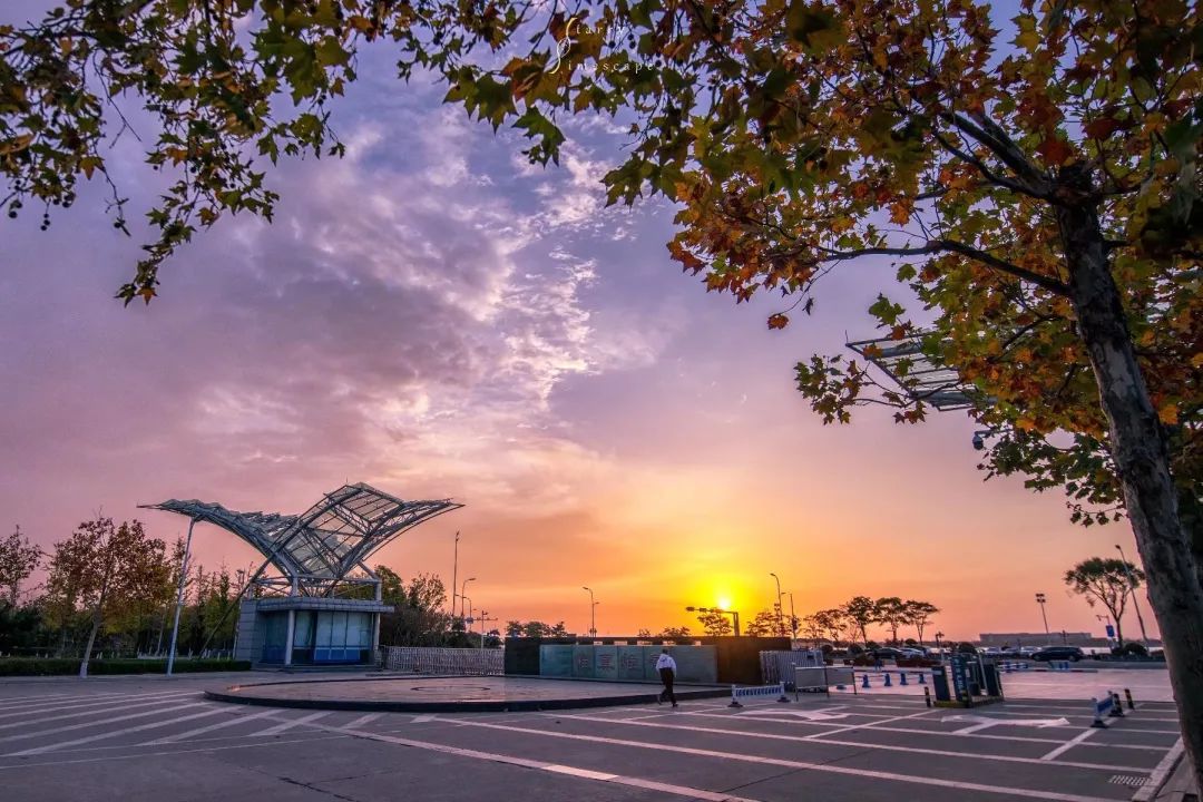 中国石油大学华东缺点,中国石油大学华东为什么考数二