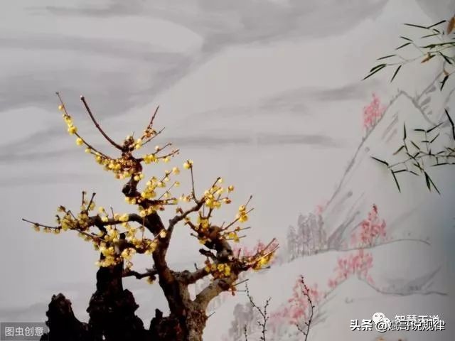 陈雄斌：做到这９点，你就能修炼成仙