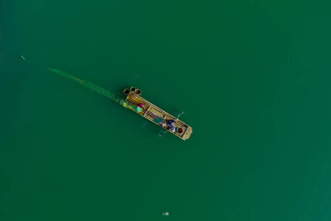 这是一个充满生机的公园怎么说,这是一个充满生机的国度朗诵