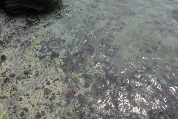 如约而至的涠洲岛,涠洲岛一生所爱
